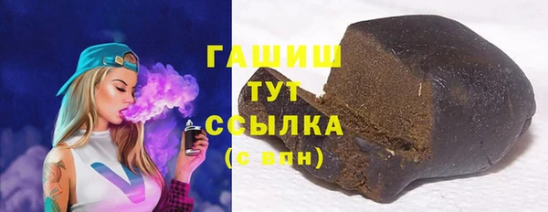 крисы Мегион