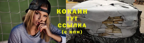 крисы Мегион