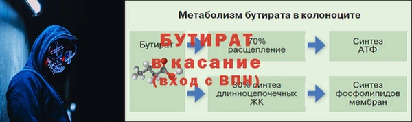 крисы Мегион