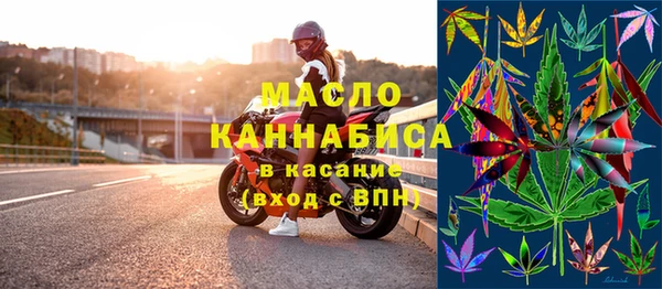 крисы Мегион