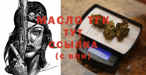 крисы Мегион