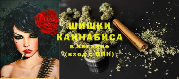 крисы Мегион