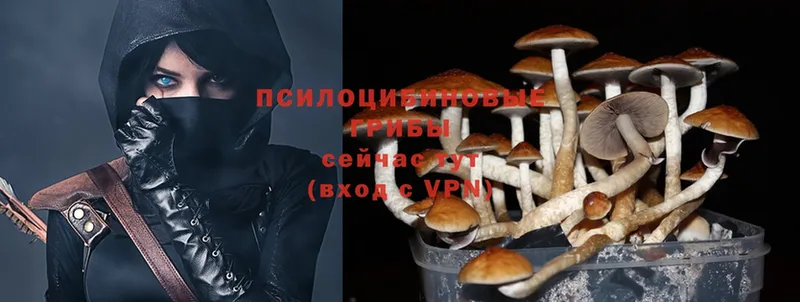 Псилоцибиновые грибы Magic Shrooms  ссылка на мегу зеркало  Яровое 